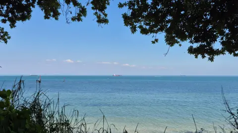 jon73 A view of the bright blue sea on a sunny day with blue skies. Taken from Bembridge showing a boat on the horizon and with the picture framed by trees above and grass below