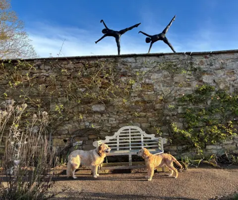Paula Shiels Two golden Labrador-type dogs looking at each other, standing in front of a wall with two statues on the top of people cartwheeling.