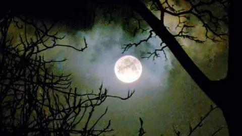 Weather watcher/AnnLiz A clear image of the bright white moon through the silhouette of a trees branches. 