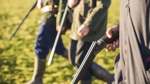 Getty Images People dressed in mainly green shooting clothes holding shotguns which are being pointed towards the floor as they walk through a green field.