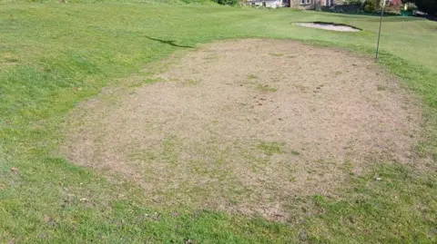 Other A patch of grass showing an area which is worn through to soil. 