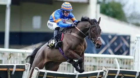 Alan Crowhurst/Getty Images A jockey in action wearing blue and orange-striped silks and taking a brown horse over a fence at Wincanton racecourse
