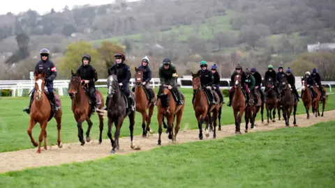 PA Media A group of about 12 horses ride in a line on the gallops at Cheltenham before day three of the festival. Their riders are all in plain dark jackets. A hill covered in trees is visible in the background