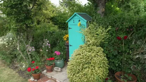 A wide angle shot of a bright garden. With a turquoise shed in the middle