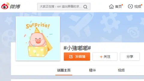 SINA WEIBO Little Dodo