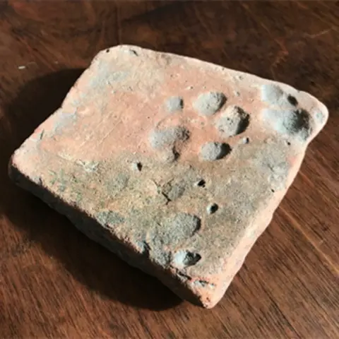 L.Maiklem  Paw mark