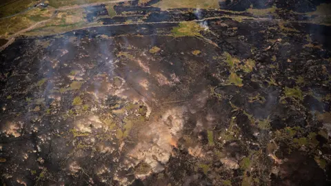  The Woodland Trust/PA Media An aerial shot of the Smithills estate showing the damage to the landscape