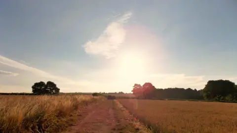 Ian W/WeatherWatchers Dawn on Monday