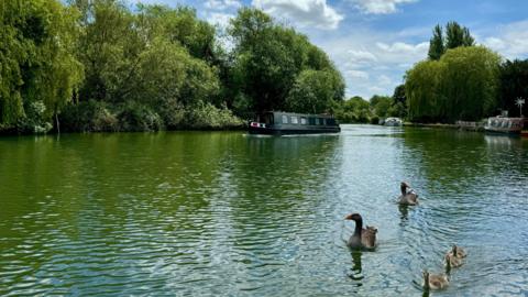 The Thames in Iffley shows ducks and narrowboats in the water under blue skies
