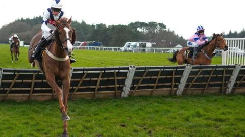 Horses jump padded hurdles at Exeter Racecourse
