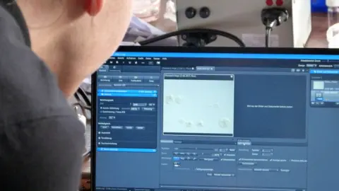 Longleat Screenshot of eggs