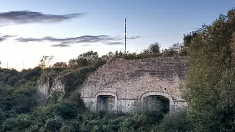 Rob Langham Brick kiln with two oven shaped cavities near the ground of the brick structure. There is greenery surrounding the kiln. The sky is dark blue. 