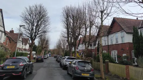 LDRS A tree lined street with Victorian houses 