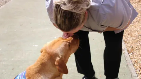 Kyro, a yellow labrador leaning into a woman who is bent over with her face to him. The woman's face is hidden but she has blonde hair, which is brown at the roots and tied back. She is wearing a purple nurses top and black trousers. They are standing on a path with small pebbles on either side.