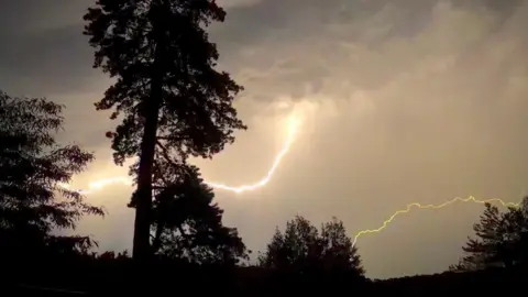 Snap4kast Two lightning bolts - one white and one yellow - in the sky at night, with several trees in the foreground.