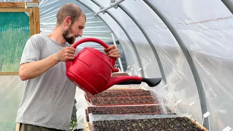 Lush Greens Ollie Jamieson waters a tray of green seedlings with a red watering can. He is standing inside a poly tunnel.
