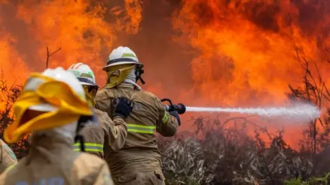 EPA Portuguese Republican National Guard soldiers battle with a forest fire in Capela Sao Neitel, Alvaiazere, central Portugal, 18 June 2017.