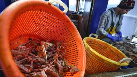 Getty Images Scotland’s live seafood industry