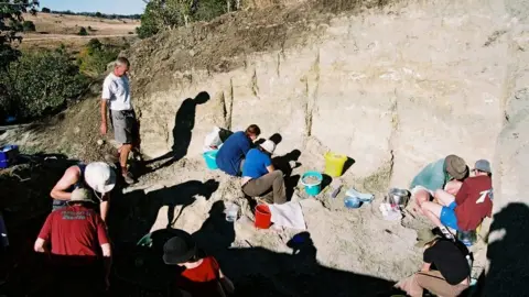 Mina Bassarova via University of NSW A large group of scientists in shorts and t-shirts digging for ' clues to the past'  in an Australian quarry. It is sunny. 