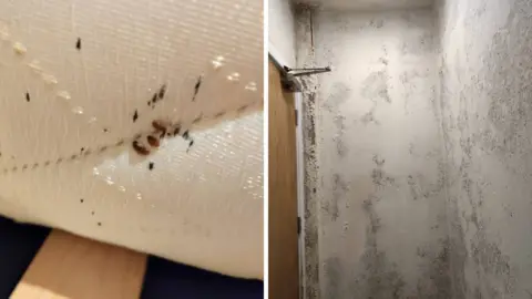 Two images. Left is an upturned white mattress with small black stains and three brown bugs. Right is a white corridor with large patches of damp and peeling paint.