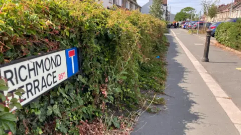A road sign which says 'Richmond Terrace' in a bush.