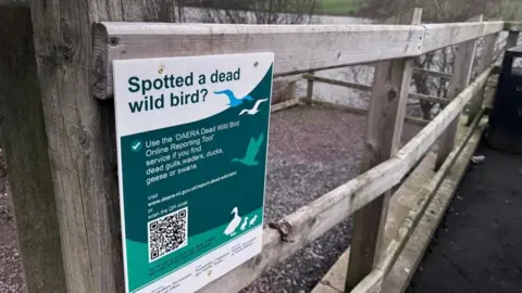 A sign with a QR code, is associated with a wooden fence, advises the public how to react when they spot a dead wild bird