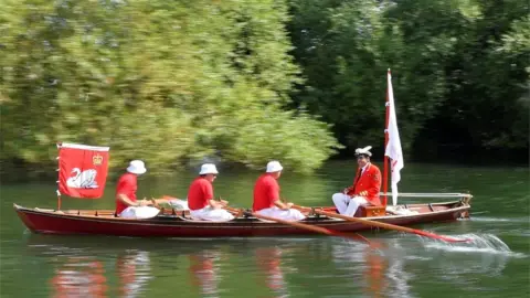 Reuters Swan Uppers row as officials record and examine cygnets and swans during the annual census