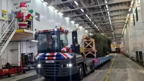 DFDS Tree on boat on the way to Britain