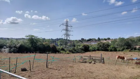 Daniel Mumby A brown field, with some green ribboned fencing inside. A horse is wondering the paddock on the right hand side of the frame. In the distance are green trees, houses and an electricity pylon.