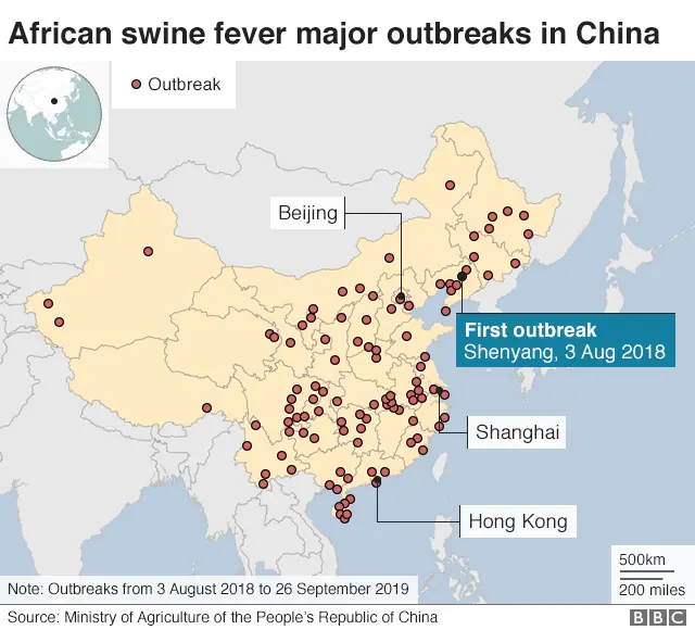 Swine fever outreaks