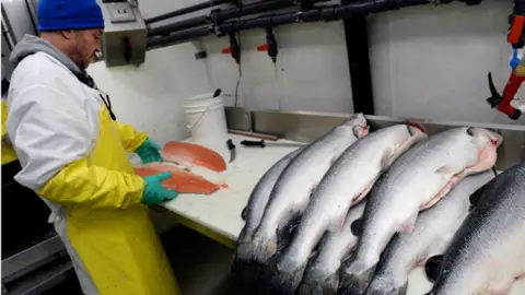 Getty Images scottish salmon