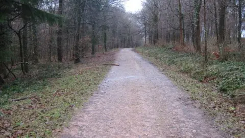 John Light/Geograph A track at Fforest Fawr