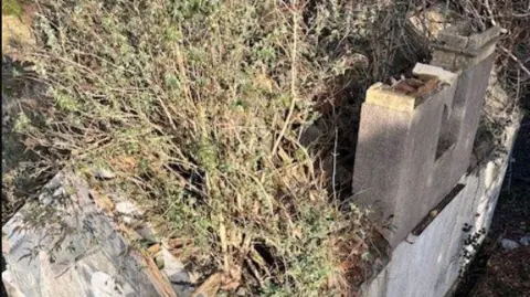 An old building with bushes growing out of it and a large stone block.