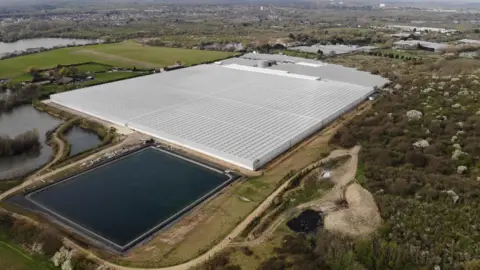 Lea Valley Growers’ Association A drone shot of the land surrounding the Lea Valley Growers’ Association. The image shows large greenhouses surrounded by lakes and grassland.