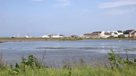 A sea with grass and plants on the shore and houses overlooking the water. Large ships and boats are in the background.
