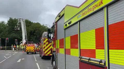 Fire engines with an aerial reaching up to a tree canopy