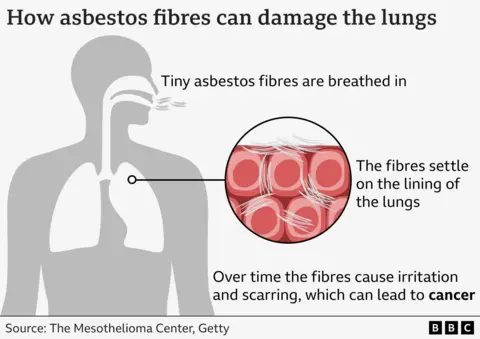 A graphic showing how asbestos fibres can damage the lungs.