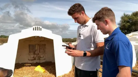 Two men are on a farm. One in a white shirt is holding a phone. There is a calf in the picture.