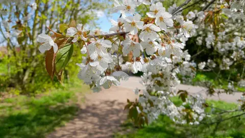 Rushcliffe Borough Council Meadow Park, in East Leake