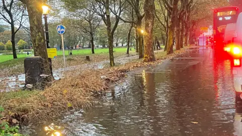 Rosie Blunt/BBC A waterlogged road lined by trees.