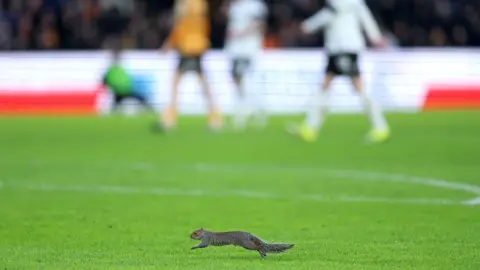 PA Media A squirrel runs across a football pitch as players stop in the background