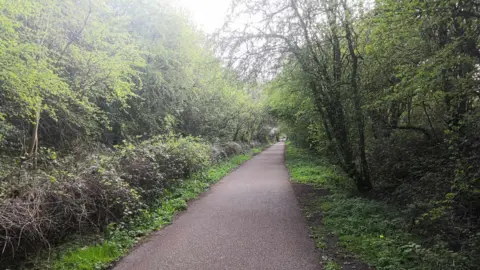 A path which is tarmac with trees and bushes on either side. It is an old railway track.