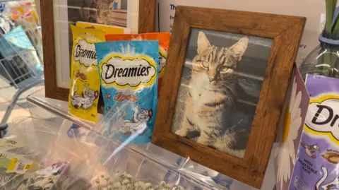 A picture of Oscar the cat in a wooden frame next to packets of Dreamies cat treats