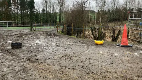 A field area between two metal gates that is completely saturated with wet brown mud and hay. There is a red cone on the right near a metal gate and a yellow container on the floor.