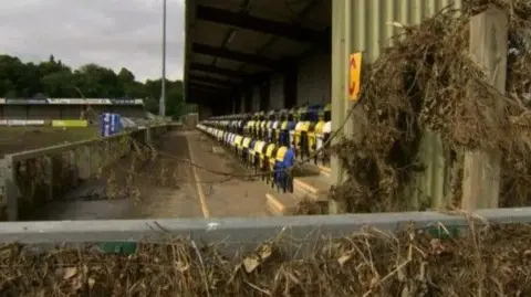 An abandoned stadium with a large number of overgrown bushes and branches are tangling a main stand. Some yellow, blue and white seats are visible with a number of advertising boards. 