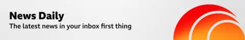 A thin, grey banner promoting the News Daily newsletter. On the right, there is a graphic of an orange sphere with two concentric crescent shapes around it in a red-orange gradient, like a sound wave. The banner reads: “The latest news in your inbox first thing.”