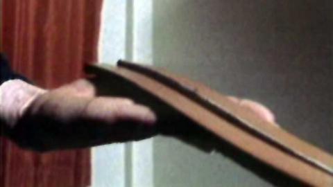 Picture of a Tawse (a leather strap having one end cut into thongs) sitting across the palm of a hand.