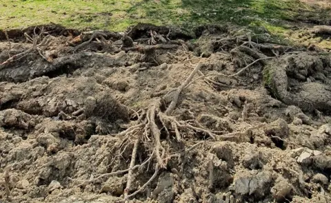 Wild Lakeland The mistakenly ploughed field