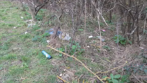 Mark Fishpool Rubbish scattered in the undergrowth along the road.