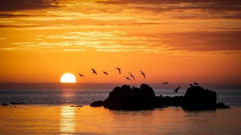 Robert Westerman Sun setting over the sea behind dark rocky outcrops, with birds flying across an orange sky and the sun’s reflection glowing on calm water.